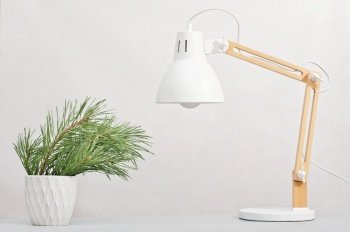 pine tree branch in white flowerpot on a table next to desk lamp. minimal office decor for christmas and new year celebration. copy space. pine tree branch in white flowerpot on a table next to desk lamp. minimal office decor for christmas and new year celebration. copy space.
