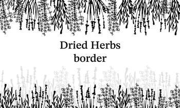 Dried herbs frame for the decoration of medical articles and websites, cover or pattern. Border with dried flowers. Border Dry Herbs, Dried Flowers. Natural medicine. Black and White Vector illustration