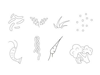 Coloring page. Noodle ingredients Asian food. Chinese chopsticks raise noodles with shrimp, peppers, carrots, beans. Vector illustration for cover, menu, postcards, banner and social media post. Coloring page. Noodle ingredients Asian food. Shrimp, beans, carrots, greens. Vector illustration.