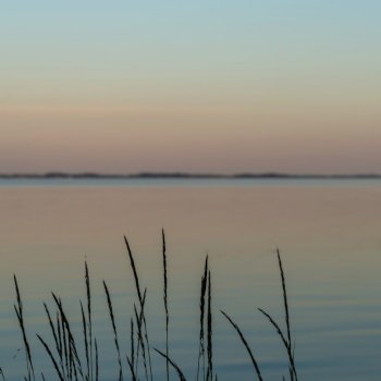 A calm ocean waters at sunset with marshgrass and reeds in the foreground