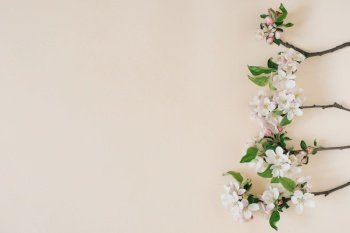 Apple spring flowers on a beige background. Flat lay, top view with copy space
