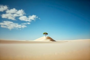 Desert sand minimalistic landscape with alone tree. Atmospheric scenic dunes imaginary view. Generative AI.. Desert sand minimalistic landscape with alone tree. Atmospheric scenic dunes imaginary view. Generative AI
