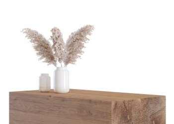 Modern, wooden table with pampas grass isolated on white background. Side view. Cut out furniture. Contemporary interior design element. Copy space for your object, product presentation. 3D render. Modern, wooden table with pampas grass isolated on white background. Side view. Cut out furniture. Contemporary interior design element. Copy space for your object, product presentation. 3D render.