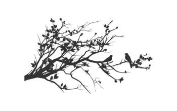Silhouette of a branch with birds icon. Vector illustration design.