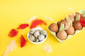 Small quail eggs with chicken eggs in a paper tray with colorful feathers lie in a white plate on a yellow background. Easter eggs with decorations. Small quail eggs with chicken eggs in a paper tray with colorful feathers lie in a white plate