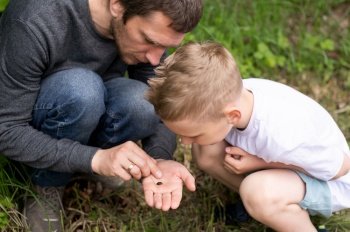 Dad next to his son, sitting next to him, white T-shirt, daddy’s son, walking on the street, looking for bugs, biology, beetle in hand. Dad found a bug and shows it to his little son