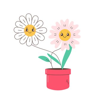 two daisies, chamomile, daisy flower in red pot. Vector illustration . two daisies, chamomile, daisy flower in red pot.