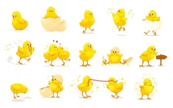 Cartoon chick characters of cute baby chickens. Little yellow farm bird vector personages with egg shells, worms and grains. Fluffy chicks hatching, sitting, running and eating, jumping and walking. Cartoon chick characters of cute baby chickens