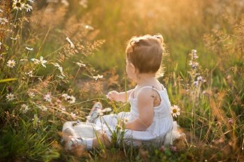 Sunny photo of a girl among dandelions in a field.. A little girl is playing in a field with dandelions 3014.