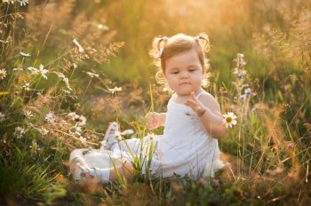 Sunny photo of a girl among dandelions in a field.. A little girl is playing in a field with dandelions 3015.