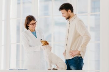 Happy experienced female vet examines jack russel terrier dog, gives advice how to care about animal. Male pet owner cures dog in clinic, chooses most professional veterianian. Medicine for animals
