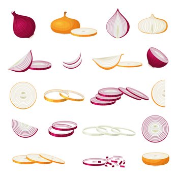 Sliced fresh onion. Purple natural food healthy cutting products vitamin recent vector illustrations set. Fresh purple onion isolated, vegetarian healthy organic. Sliced fresh onion. Purple natural food healthy cutting products vitamin recent vector illustrations set