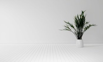 Houseplant with copy space on white wooden floor background. Interior and Nature decoration concept. 3D illustration rendering 