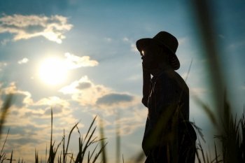 Silhouette of Senior farmer standing in rice field examining crop at sunset.