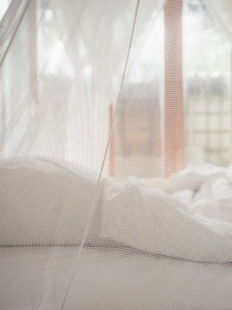 Mosquito net and bed in hotel room