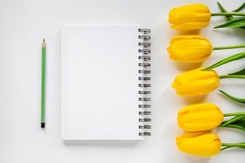 open notepad, pencil and yellow tulips on a white background. open notepad, pencil and yellow tulips