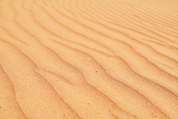 Natural sandstone texture background, sand on the beach as background. Wavy sand background for summer designs or backdrops.