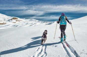 Two dogs with his mistress ski mountaineer in pristine snow plateau