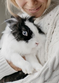 woman petting adorable rabbit 7