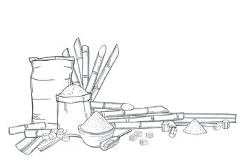 Hand drawn sugarcane  and sack bags of sugar. Vector background. Sketch  illustration.. Sugarcane and sugar. Vector background.