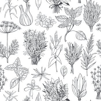  Hand drawn spicy herbs.  Vector seamless pattern.. Spicy herbs.  Vector pattern