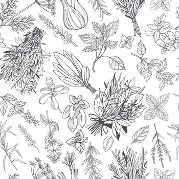  Hand drawn spicy herbs.  Vector seamless pattern.. Spicy herbs.  Vector pattern