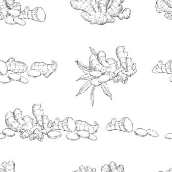 Vector  seamless pattern with Ginger root. Hand drawn sketch illustration. Vector pattern with Ginger root. 