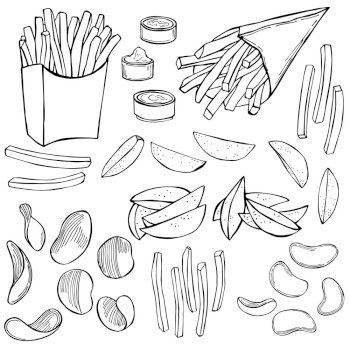 Dishes from potatoes. French fries, rustic fries, chips. Vector sketch  illustration.