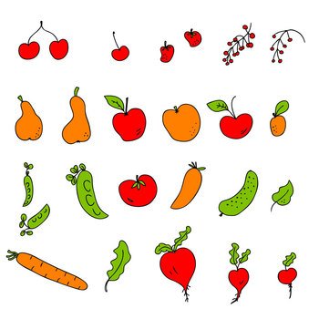 Hand drawn harvest vegetables and fruits icons collection. Perfect for poster, stickers and print. Doodle vector illustration for decor and design.
