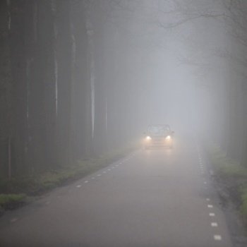 car with headlights on dutch country road between rows of trees in mist