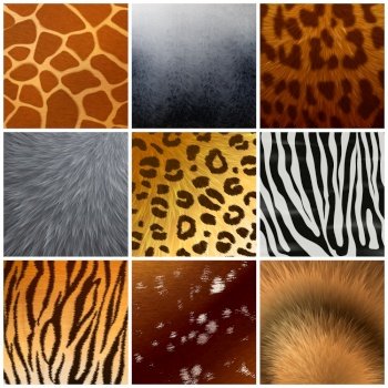 Real and faux exotic fur skin hide texture color pattern 9 realistic samples collection isolated vector illustration . Fur texture Reailstic Set