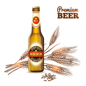 Beer concept with realistic bottle and sketch wheat ears on background vector illustration. Beer Sketch Concept