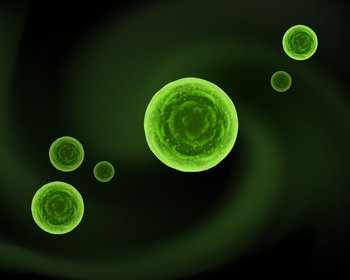 Vector abstract sphere green cocci bacteria cells concept on dark background. Sphere bacteria cells