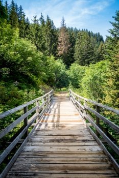 Wood bridge in a fir forest. La clusaz, Haute-savoie, France. Wood bridge in a fir forest