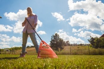 Unusual angle of woman raking leaves using rake. Person taking care of garden house yard grass. Agricultural, gardening equipment concept.. Unusual angle of woman raking leaves