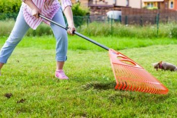 Gardening. Female adult raking green lawn grass with rake tool on her backyard. Woman using rake to clean up garden lawn