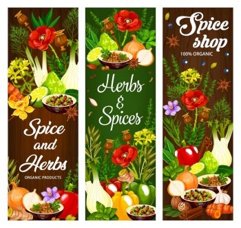 Spice, condiment and herbs banners. Vector pepper and rosemary, garlic and thyme, cinnamon, vanilla, ginger and nutmeg, basil and dill, fennel and turmeric, coriander, star anise and parsley. Spice, herb and seasoning, food condiment banners