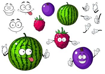 Watermelon, raspberry and plum fruits in cartoon style isolated on white