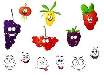 Cranberry, blackberry, rowan, cherry, grape and sea-buckthorn berries. Cartoon style