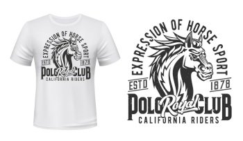 Stallion t-shirt, equestrian sport print mockup, horse races club. Wild horse stallion or mustang, equine riding and horse races California Riders Royal jockey polo club t shirt print. Stallion t-shirt, equestrian sport print mockup