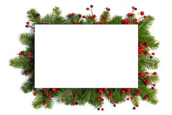 Christmas Border frame of tree branches and red berries on white background with copy space isolated. Christmas frame of tree branches