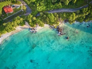 Beautiful beach with palm tree and rocks aerial top view drone shot at Seychelles, Mahe