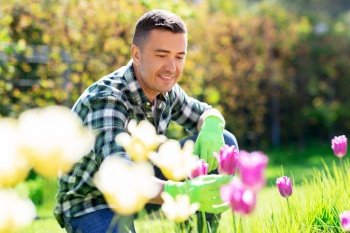 gardening and people concept - happy smiling middle-aged man taking care of flowers at summer garden. happy man taking care of flowers at garden