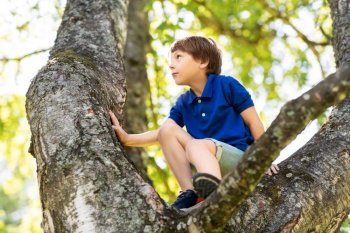 childhood, leisure games and people concept - happy little boy climbing tree at summer park. happy little boy climbing tree at park