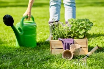 gardening and people concept - woman with watering can, garden tools and flowers in wooden box at summer. woman with garden tools in wooden box at summer