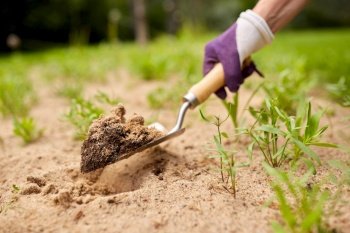 gardening and people concept - hand digging flowerbed ground with garden trowel. hand digging flowerbed ground with garden trowel