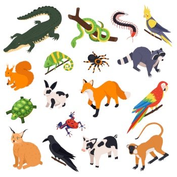 Exotic pets animals birds reptiles isometric set with snake crocodile raccoon monkey parrot fox spider vector illustration