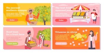 Citrus flat banners set with people collecting oranges on southern  farm sellers and buyers of fruits and juice vector illustration