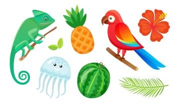Summer vacation, exotic animals, fruits and plants isolated vector. Gecko and pineapple, jellyfish and watermelon, parrot and hibiscus flower, palm leaf. Exotic Animals, Fruits and Plants, Summer Vacation