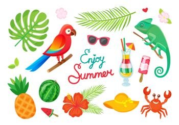 Tropical plants and animals, enjoy summer, cocktails and fruits vector. Parrot and gecko, ice cream and drink, palm leaves and watermelon, pineapple. Enjoy Summer, Tropical Wild Plants and Animals